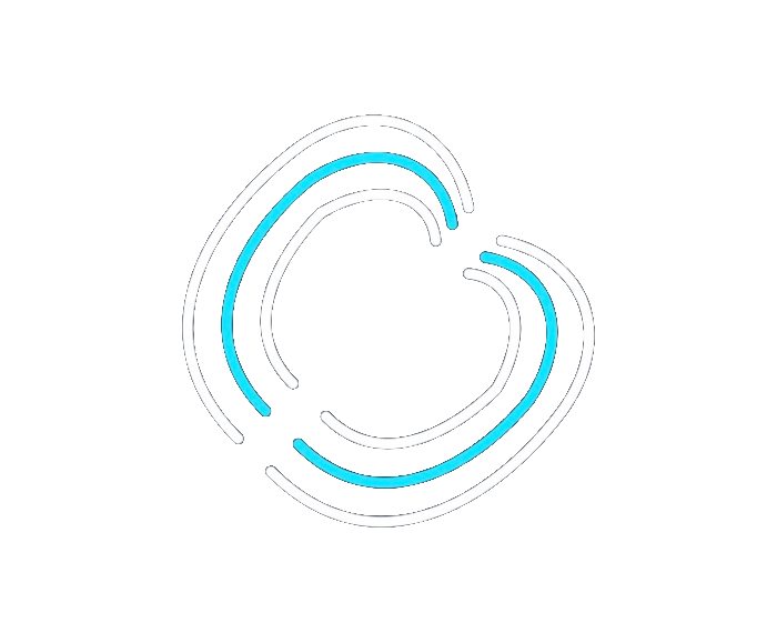 Narrabrain Logo